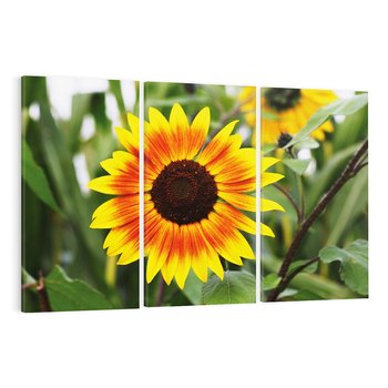 Obraz na płótnie 120x80 - Kwiatowa harmonia natury - słonecznik, kwiaty