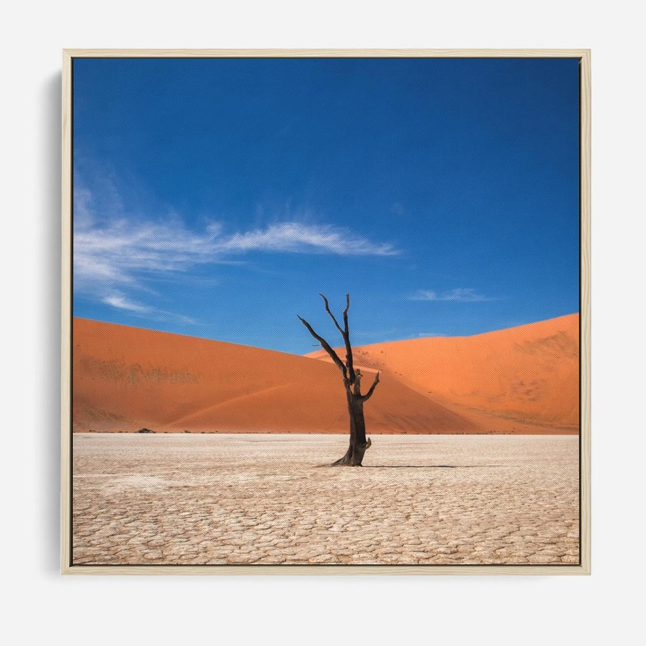 Obraz w ramie 80x80 - Słońce i Suche Drzewo - pustynia, suche - rama drewno