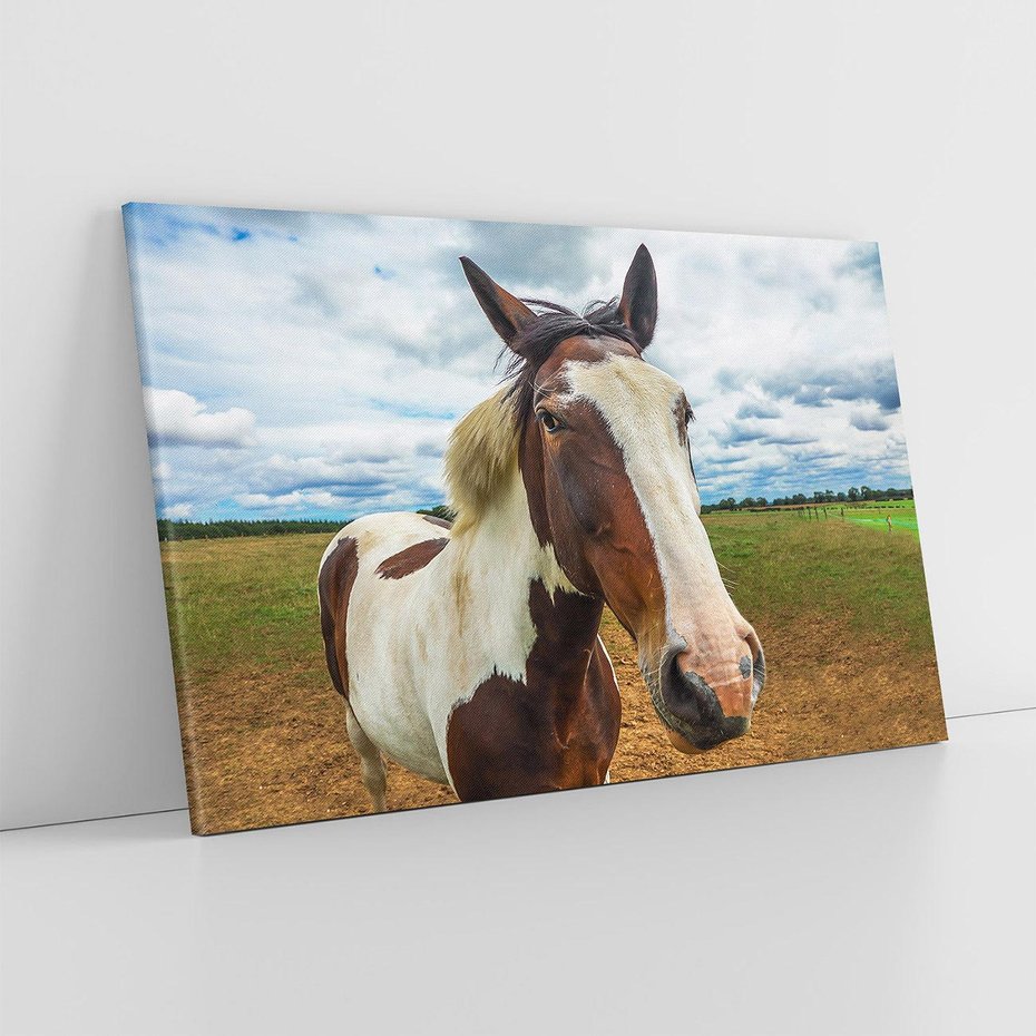 Obraz na płótnie 120x80 - Koń na farmie - koń, konik