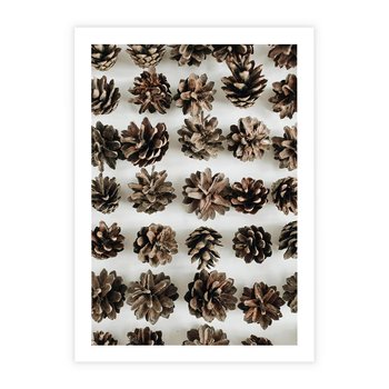 Plakat bez ramy 30x40 - Jesienna Tekstura - kompozycja z suchych szyszek, jesienne szyszki