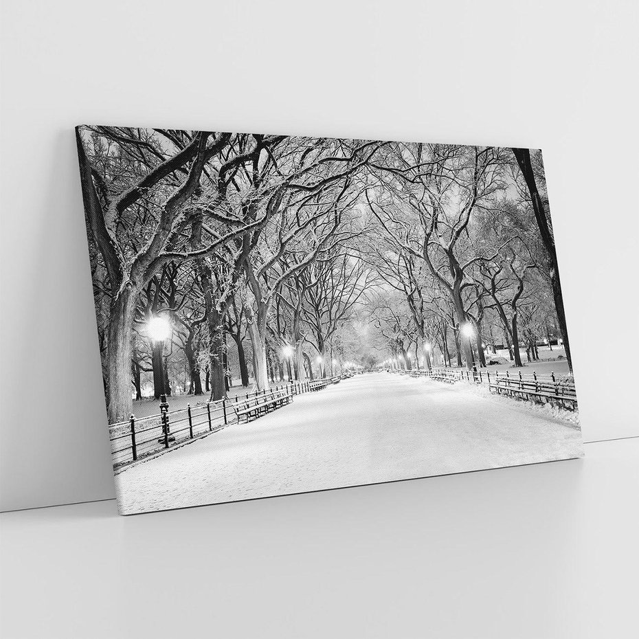 Obraz na płótnie 120x80 - cisza wśród drzew - zima, park