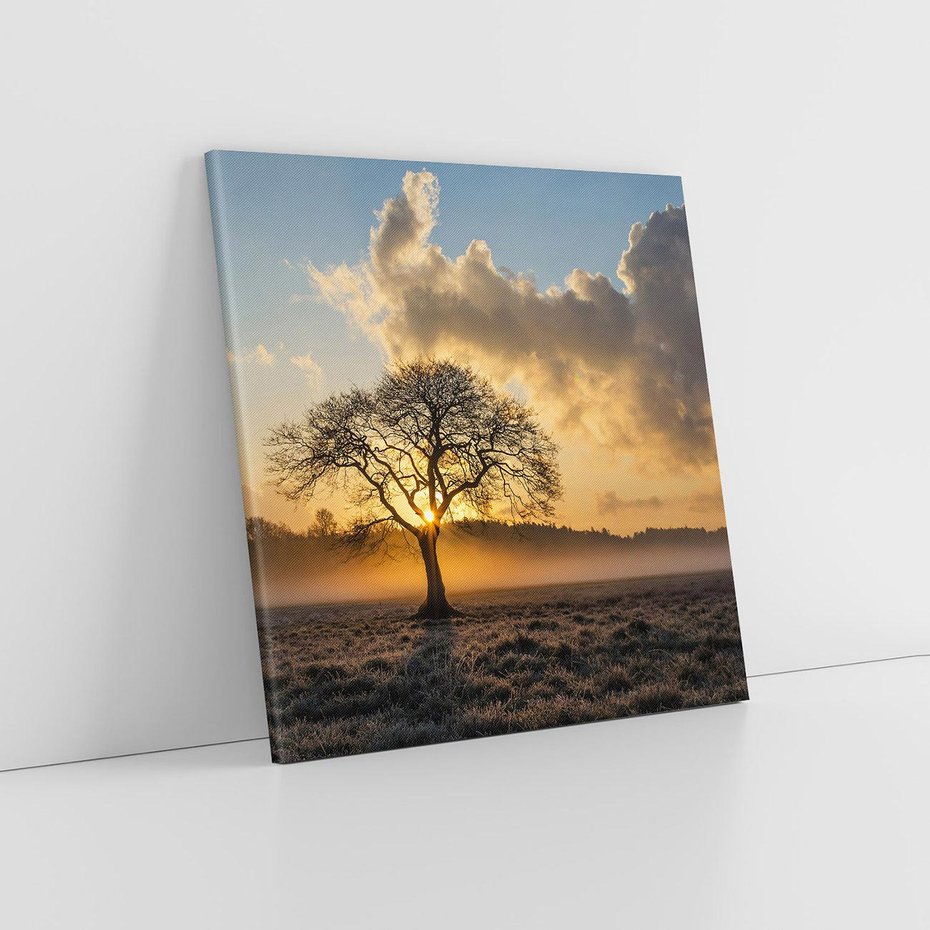 Obraz na płótnie 30x30 - Drzewo w mgle: Piękno jesiennego poranka - drzewo, mgła
