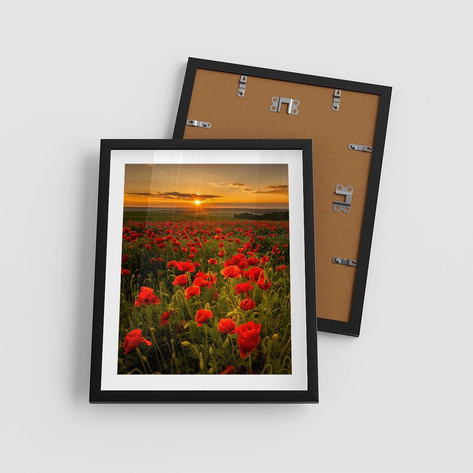 Plakat w ramie 40x50 - Maki przy zachodzie słońca - maki, zachód - rama czarna