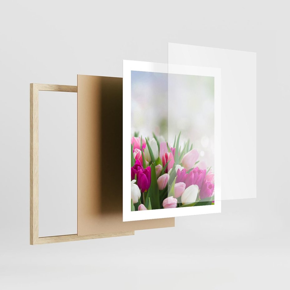 Plakat w ramie 40x50 - Tulipany w pełnym rozkwicie - tulipany, kwiaty - rama drewno