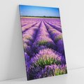 Obraz na płótnie 80x120 - Malownicze Pole Lawendy - lawenda, pole
