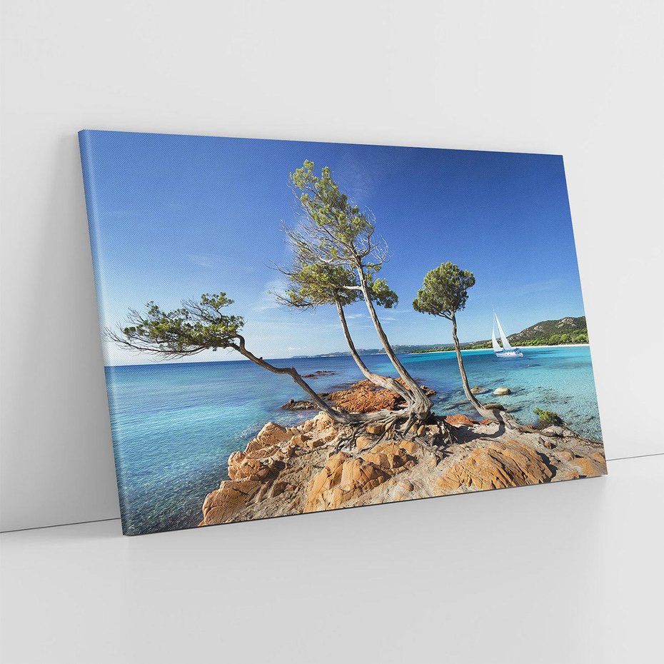 Obraz na płótnie 70x50 - Korsyka - morze i drzewa - Korsyka, morze