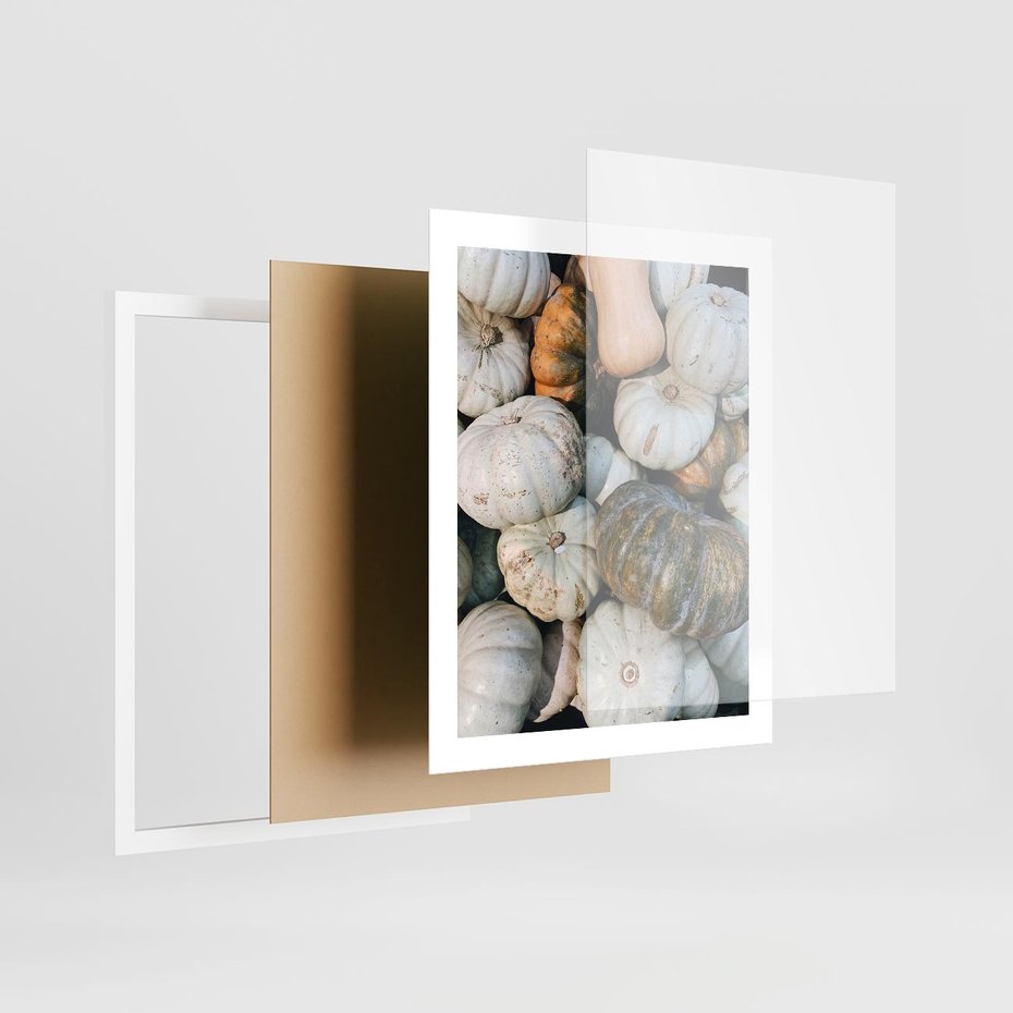 Plakat w ramie 40x50 - Minimalizm Jesieni - dynie, białe - rama biała