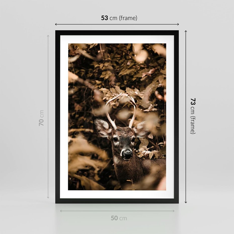 Plakat w ramie 50x70 - Jesienny Jeleń w Lesie - jeleń, w lesie - rama czarna