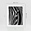 Plakat w ramie 40x50 - Pasy Zebr - zebra, paski - rama biała