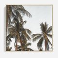 Obraz w ramie 50x50 - Palmy - tęsknota za Hawajami - palmy, Hawaje - rama drewno
