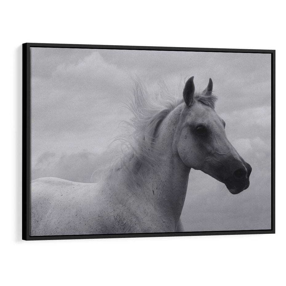 Obraz w ramie 100x70 - Moc i Wolność - czarno biała fotografia, biały - rama czarna