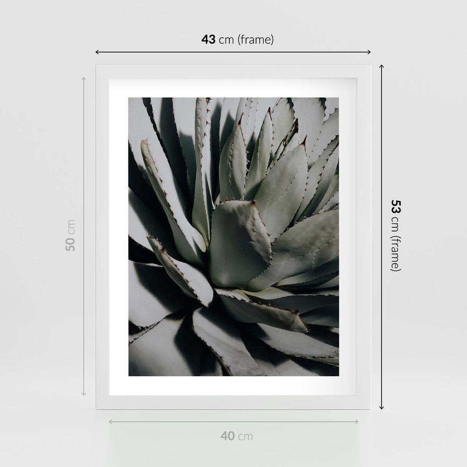 Plakat w ramie 40x50 - Sukulenty wśród kaktusów - sukulenty, kaktusy - rama biała