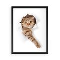 Plakat w ramie 50x70 - Kot w Dziurze - kot, dziura - rama czarna