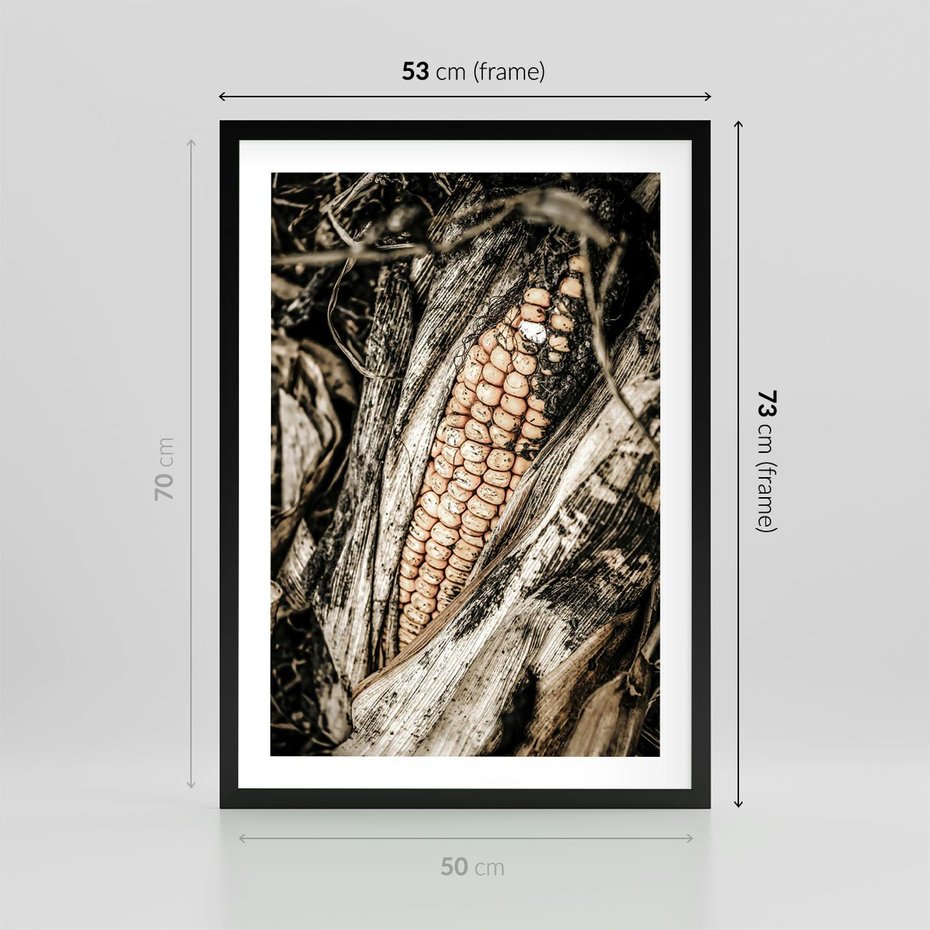 Plakat w ramie 50x70 - Kukurydza w Jesiennej Scenie - kukurydza, jesień - rama czarna