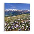 Obraz na płótnie 30x30 - Wiosenne Czarowanie - krokusy, góry