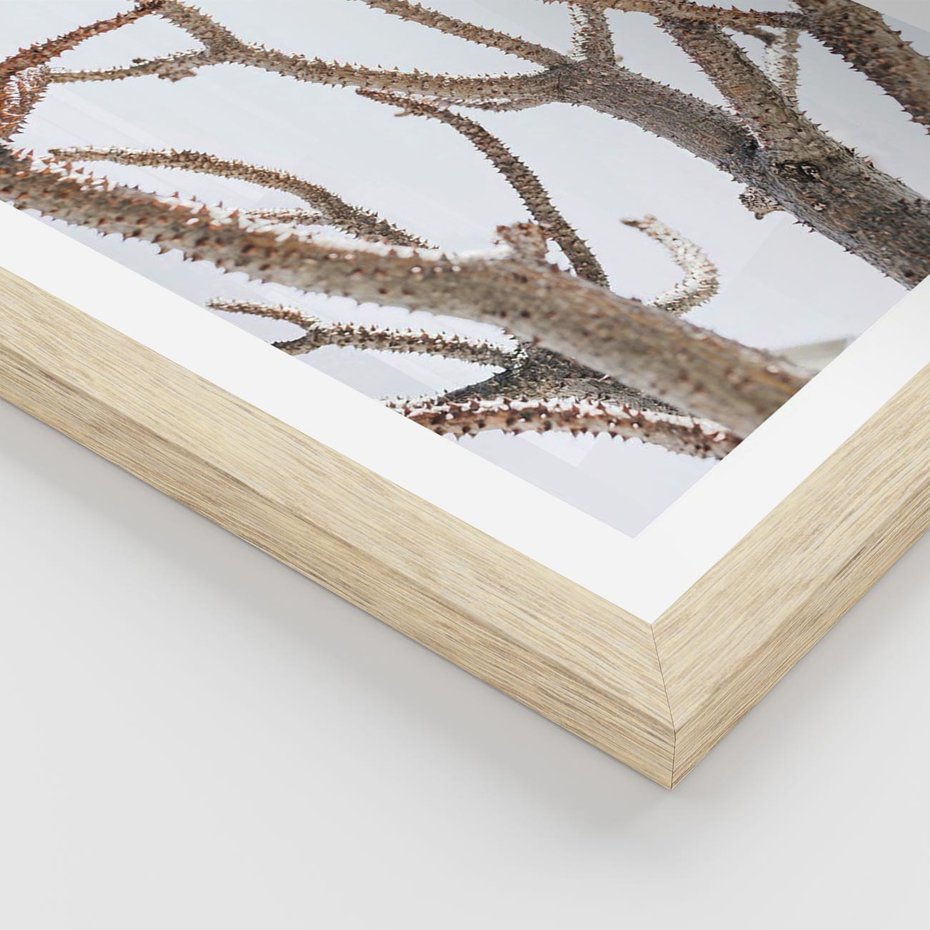 Plakat w ramie 30x40 - Pustynna Harmonia Gałęzi - pustynna roślina, suche gałęzie - rama drewno