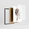Plakat w ramie 50x70 - Szczeniak pełen radości - piesek, szczeniak - rama czarna