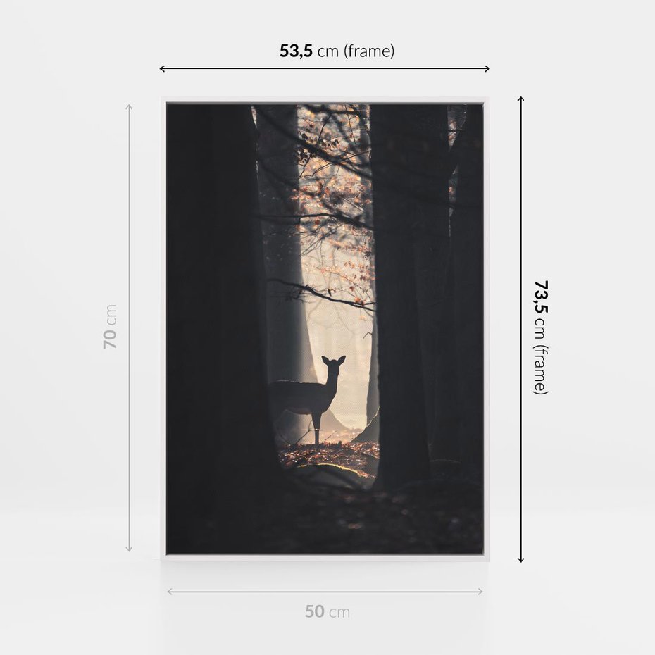 Obraz w ramie 50x70 - Sarnie Skoki - zdjęcie, klimatyczny las - rama biała