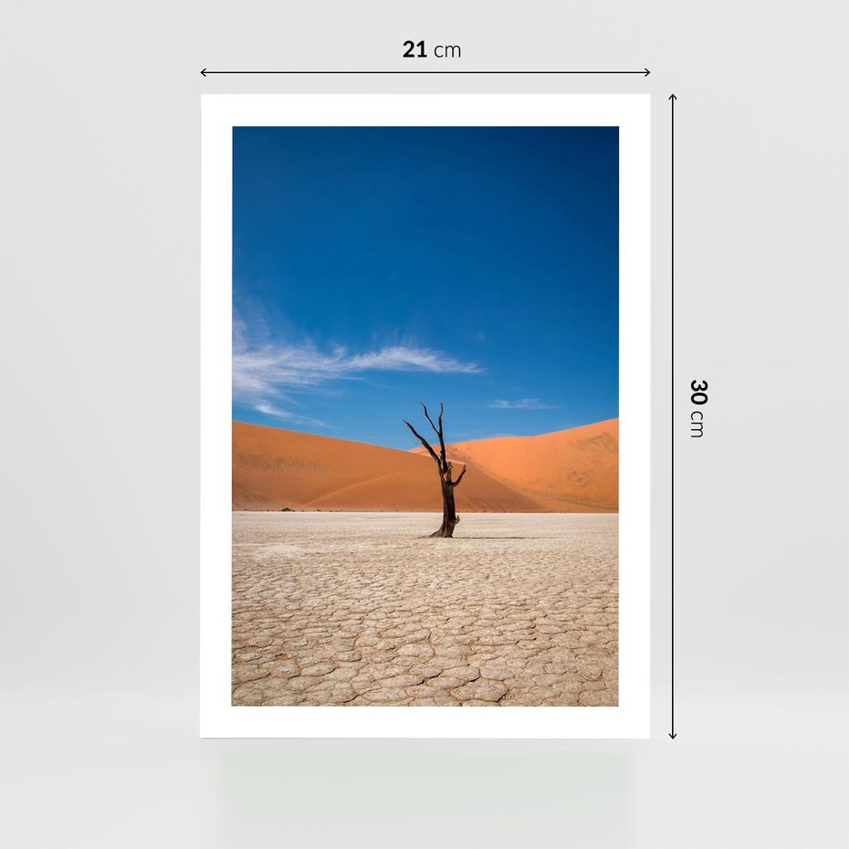 Plakat bez ramy 21x30 - Słońce i Suche Drzewo - pustynia, suche