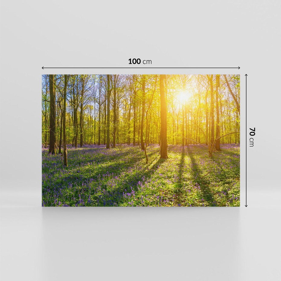 Obraz na płótnie 100x70 - Uroda lasu: harmonia drzew - las, drzewa