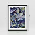 Plakat w ramie 30x40 - Hortensja - delikatność kwiatów - hortensja, kwiaty - rama czarna