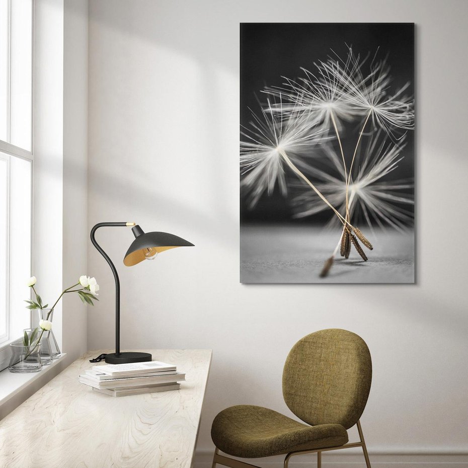 Obraz na płótnie 50x70 - Delikatność dmuchawców zbliżenie - dmuchawce, zbliżenie