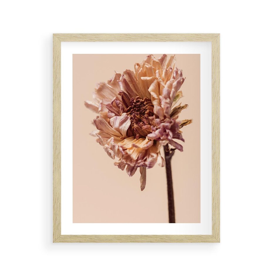 Plakat w ramie 40x50 - Delikatne piękno - suche, kwiaty - rama drewno