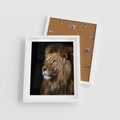 Plakat w ramie 40x50 - Władca Dzikiej Przyrody - lew, król - rama biała