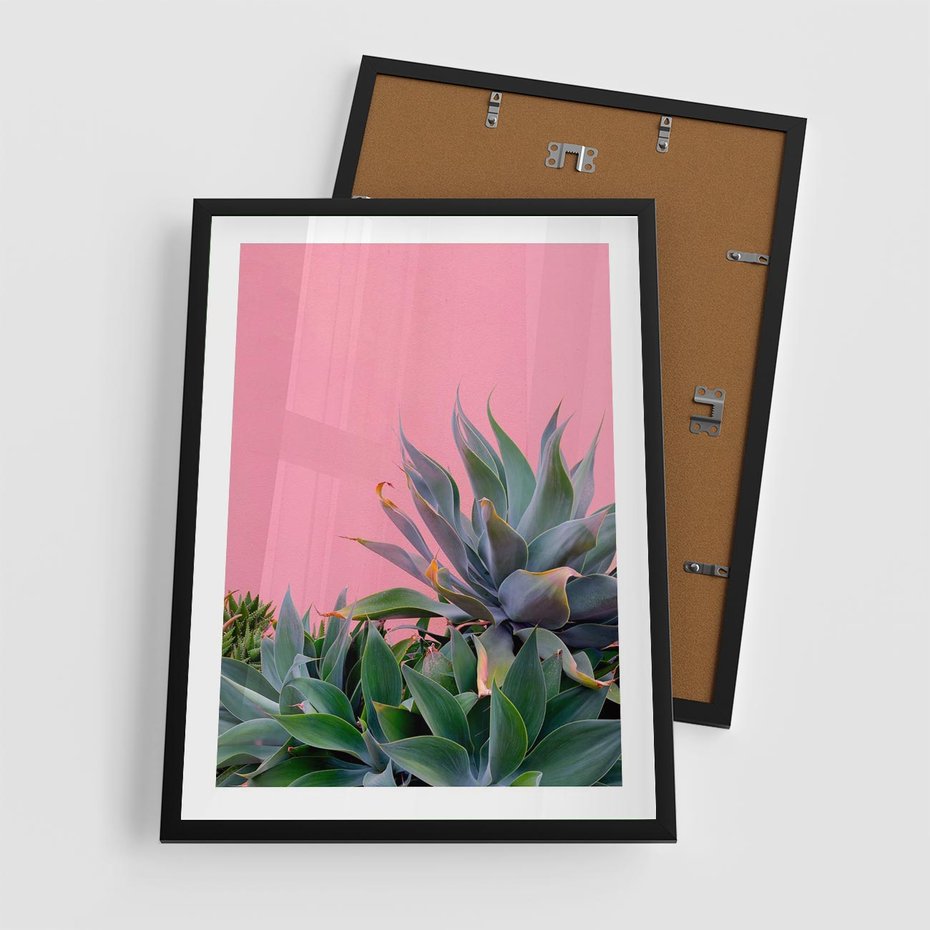 Plakat w ramie 50x70 - Tropikalne Liście na Różowej Ścianie - różowa ściana, tropikalne liście na jej tle - rama czarna