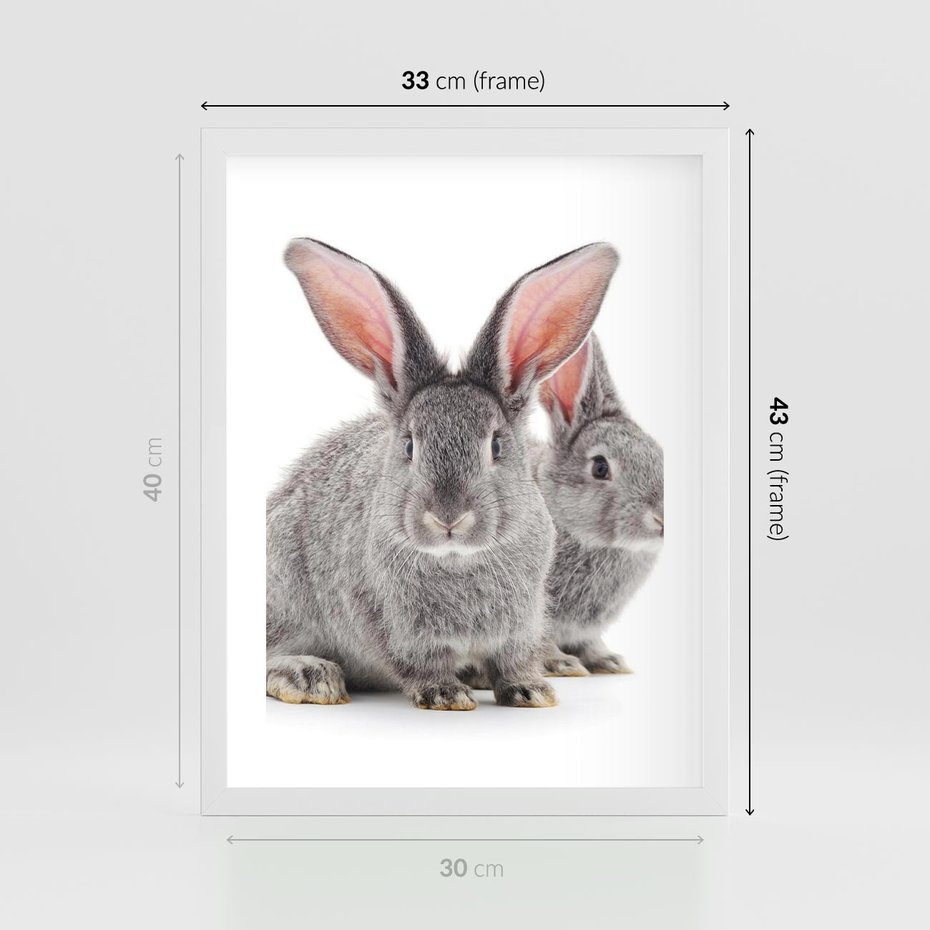 Plakat w ramie 30x40 - Uroczy królik wśród natury - królik, zając - rama biała