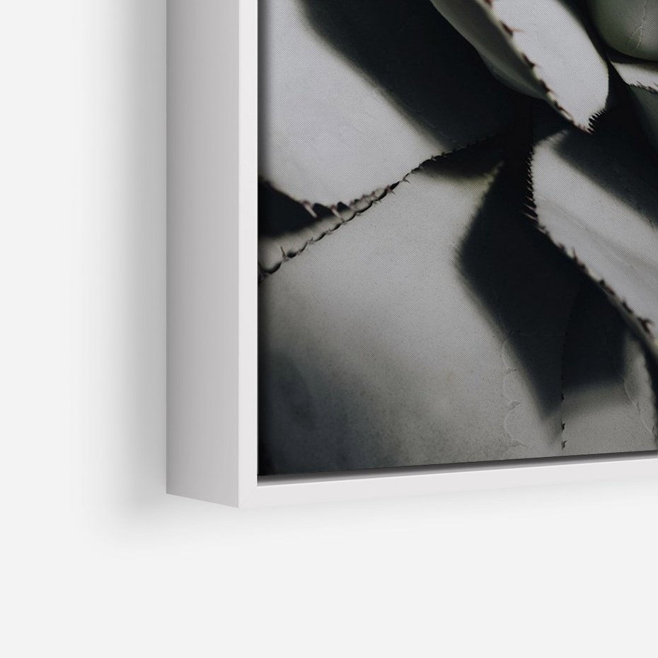 Obraz w ramie 70x100 - Sukulenty wśród kaktusów - sukulenty, kaktusy - rama biała