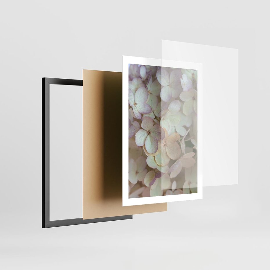 Plakat w ramie 50x70 - Kwiatowy taniec - kwiaty, hortensje - rama czarna