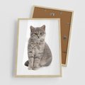 Plakat w ramie 50x70 - Kocie uroki na płótnie - kot, kotek - rama drewno