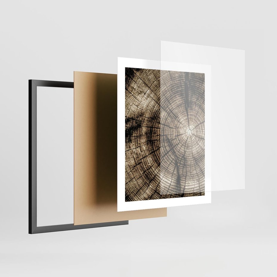 Plakat w ramie 40x50 - Natura Pod Lupą - pień drzewa, przekrój - rama czarna