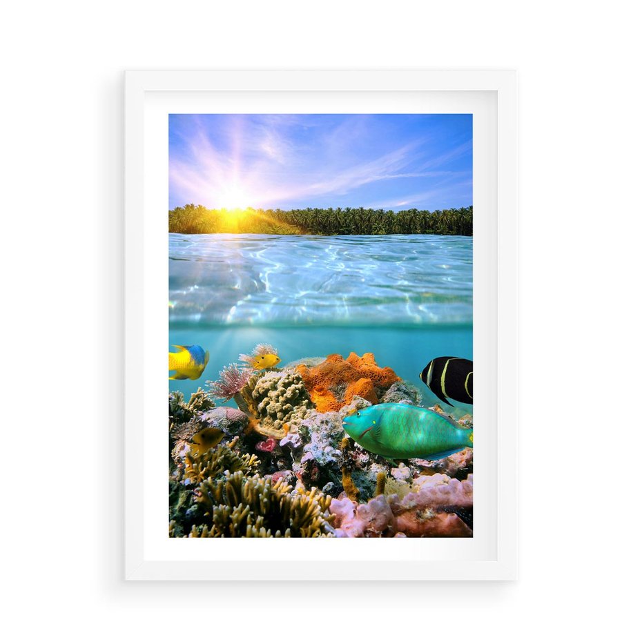 Plakat w ramie 50x70 - Rafa Koralowa - Podwodne Cuda - rafa, koralowa - rama biała