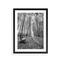 Plakat w ramie 30x40 - Spadające Liście - czarno białe zdjecie, park - rama czarna