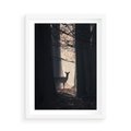 Plakat w ramie 50x70 - Sarnie Skoki - zdjęcie, klimatyczny las - rama biała