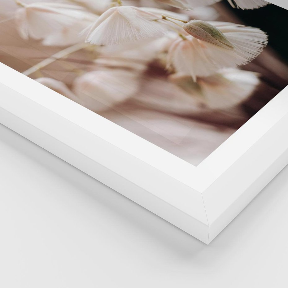 Plakat w ramie 40x50 - Suszona Delikatność - suszone kwiaty, rośliny - rama biała