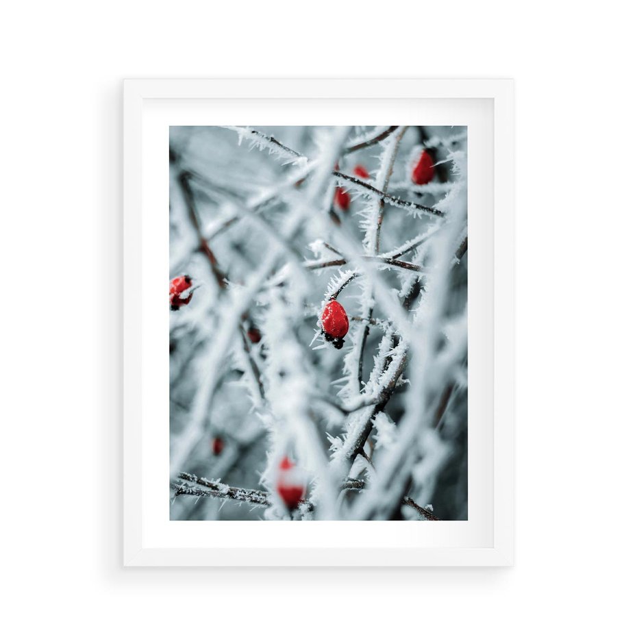 Plakat w ramie 40x50 - Zima na Gałęziach - zima, oszronione gałęzie - rama biała