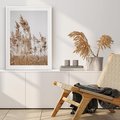 Plakat bez ramy 30x40 - Boho Urok - trawy, pampas