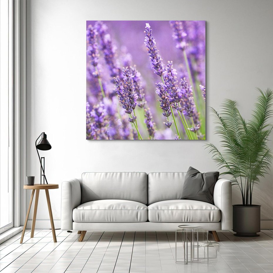 Obraz na płótnie 40x40 - Urok lawendy - lawenda, kwiaty
