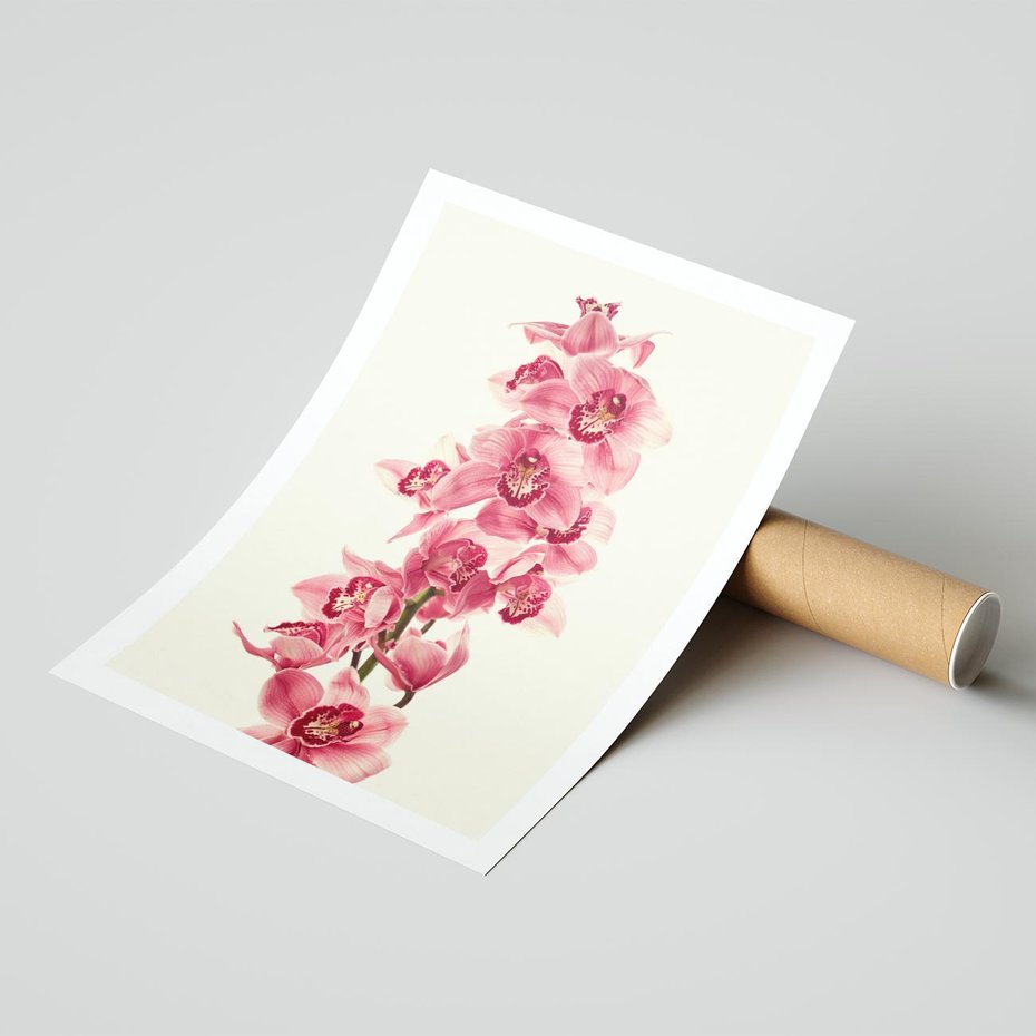 Plakat bez ramy 21x30 - Orchidea w spa - relaks - orchidea, spa