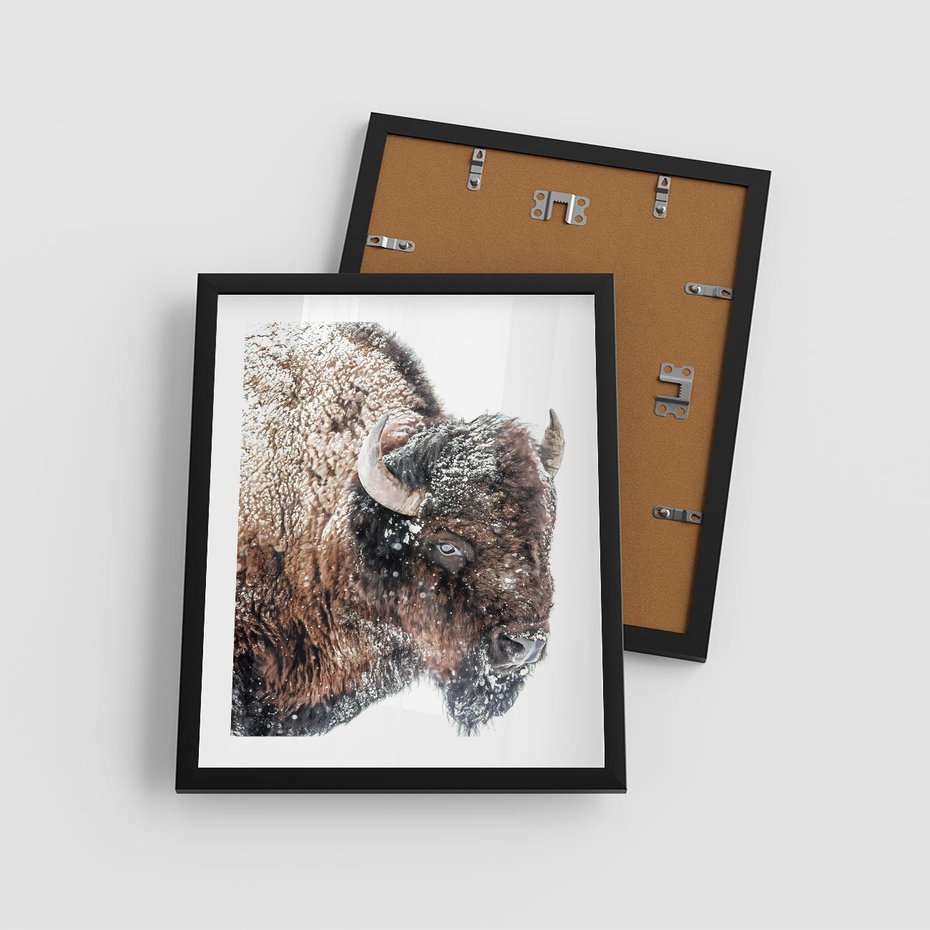 Plakat w ramie 40x50 - Obraz Dzikiej Przyrody w Śnieżnym Otoczeniu - żubr, śnieg - rama czarna