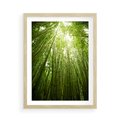 Plakat w ramie 50x70 - Siła Natury - drzewa, las - rama drewno