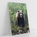 Obraz na płótnie 80x120 - Spotkanie z Niedźwiedziem w Lesie - niedźwiedź, las