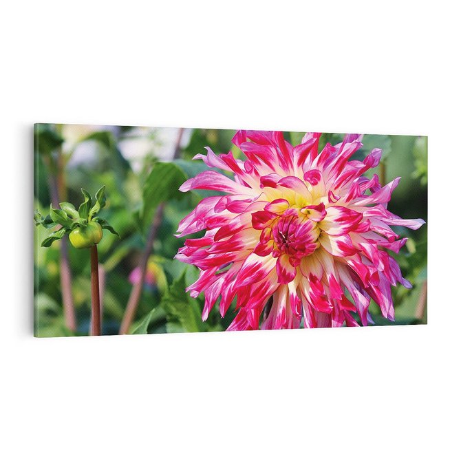 Obraz na płótnie 100x50 - Kwiatowe impresje natury - kwiat, kwiaty
