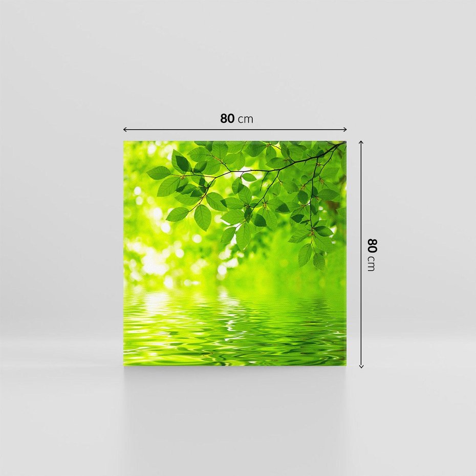 Obraz na płótnie 80x80 - Liście w Wodzie - liście, woda