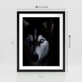 Plakat w ramie 40x50 - Wilk i husky: siła przyjaźni - wilk, husky - rama czarna