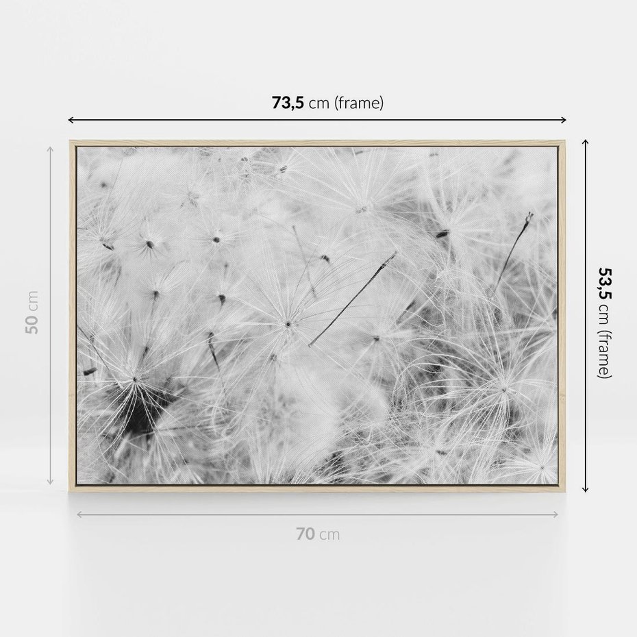 Obraz w ramie 70x50 - Zdmuchnięty Puch - dmuchawce, delikatne - rama drewno