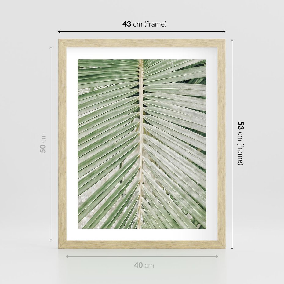 Plakat w ramie 40x50 - Jasna Zieleń Palmy - liść palmy, zbliżenie - rama drewno